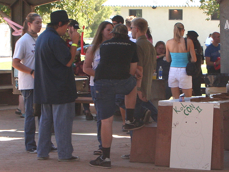 332_picnic