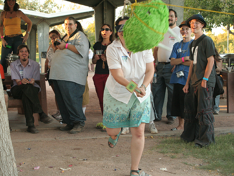 545_picnic-pinata