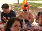 295_picnic