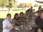 392_picnic